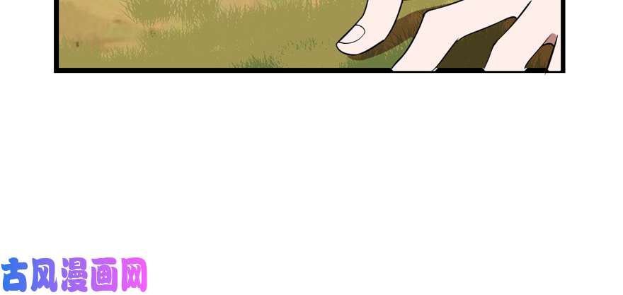 毒步天下：特工神医小兽妃26