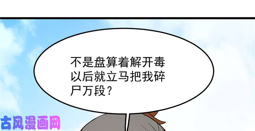 毒步天下：特工神医小兽妃26