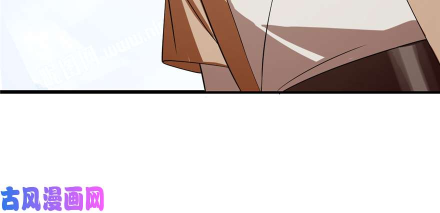 毒步天下：特工神医小兽妃26