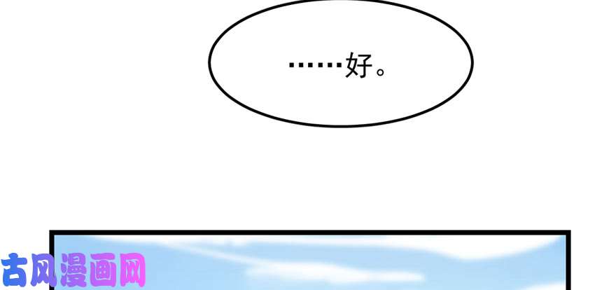 毒步天下：特工神医小兽妃26