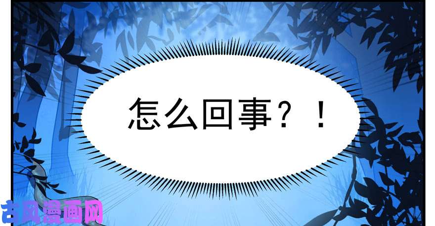 毒步天下：特工神医小兽妃27