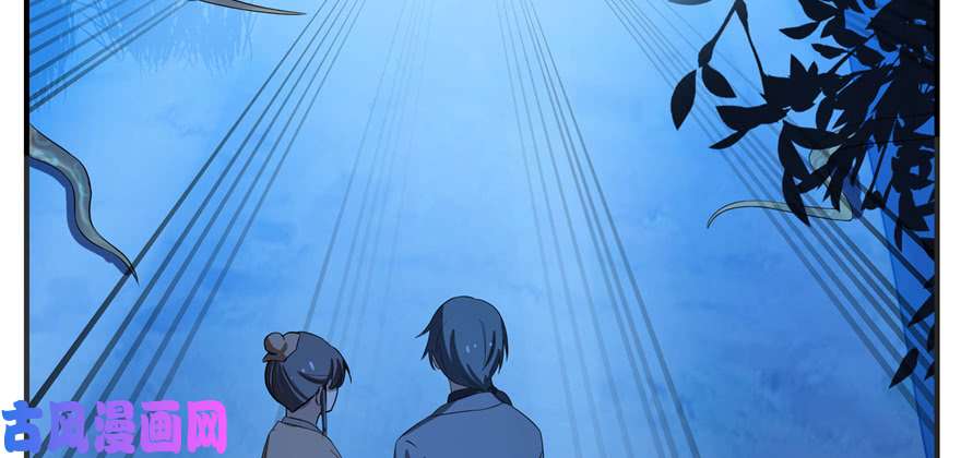 毒步天下：特工神医小兽妃27