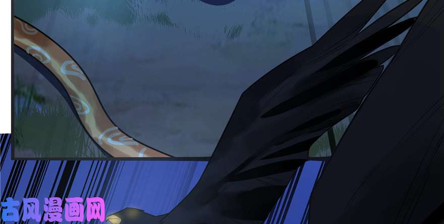 毒步天下：特工神医小兽妃27