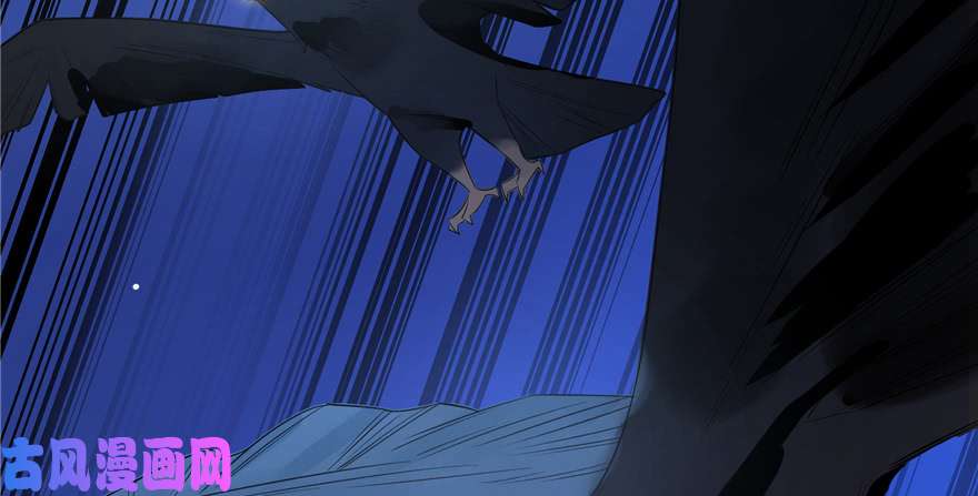 毒步天下：特工神医小兽妃27