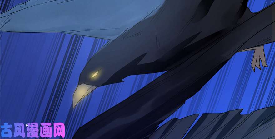 毒步天下：特工神医小兽妃27