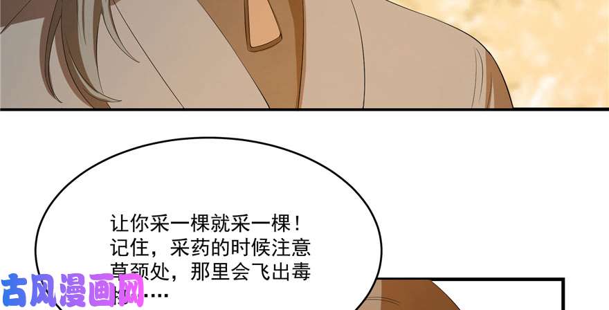 毒步天下：特工神医小兽妃27