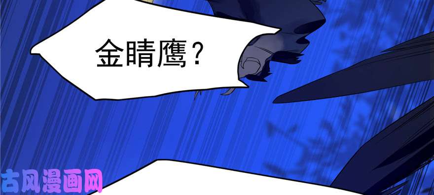 毒步天下：特工神医小兽妃27