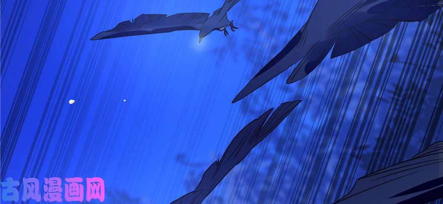 毒步天下：特工神医小兽妃27