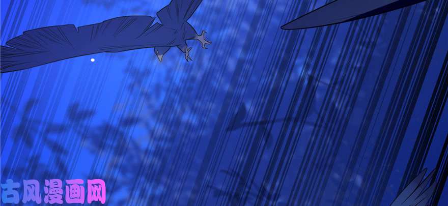 毒步天下：特工神医小兽妃27