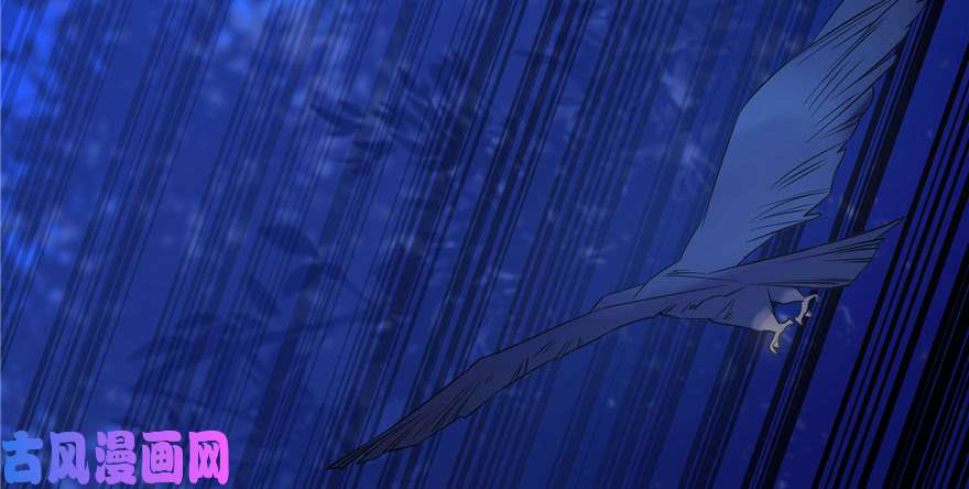 毒步天下：特工神医小兽妃27