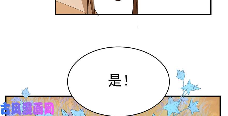 毒步天下：特工神医小兽妃27