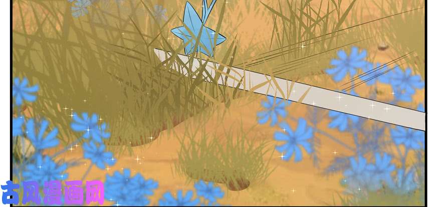 毒步天下：特工神医小兽妃27