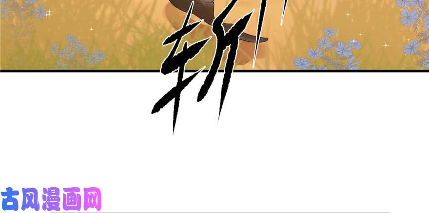 毒步天下：特工神医小兽妃27