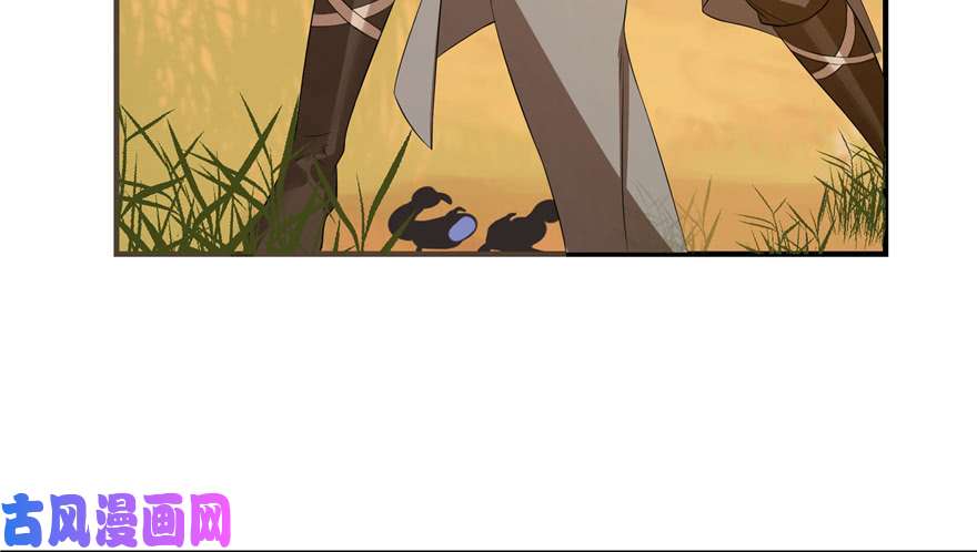 毒步天下：特工神医小兽妃27