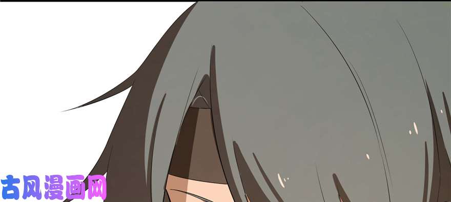 毒步天下：特工神医小兽妃27