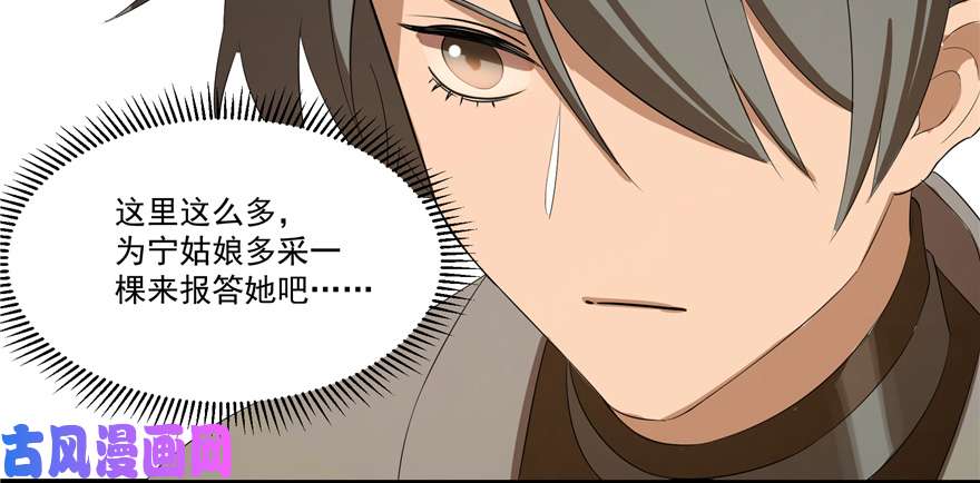 毒步天下：特工神医小兽妃27