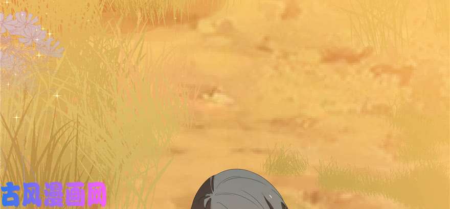 毒步天下：特工神医小兽妃27