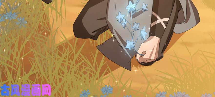 毒步天下：特工神医小兽妃27