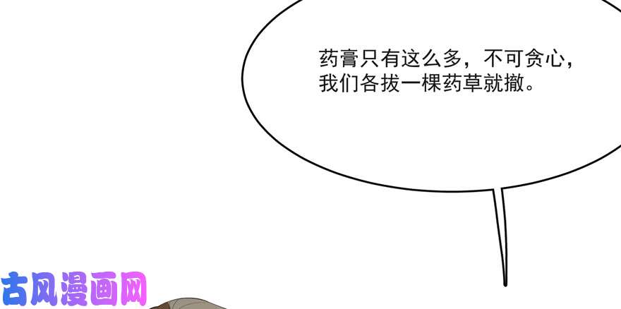 毒步天下：特工神医小兽妃27