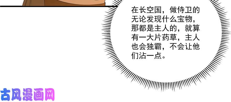 毒步天下：特工神医小兽妃27