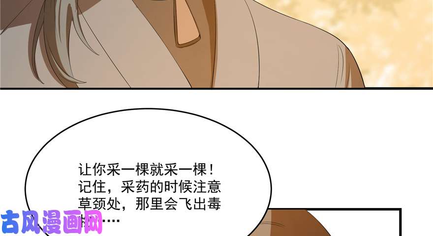 毒步天下：特工神医小兽妃27