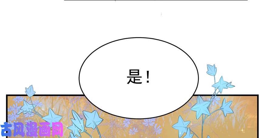 毒步天下：特工神医小兽妃27