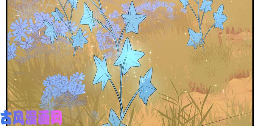 毒步天下：特工神医小兽妃27