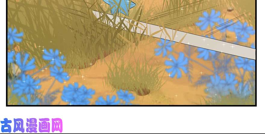 毒步天下：特工神医小兽妃27