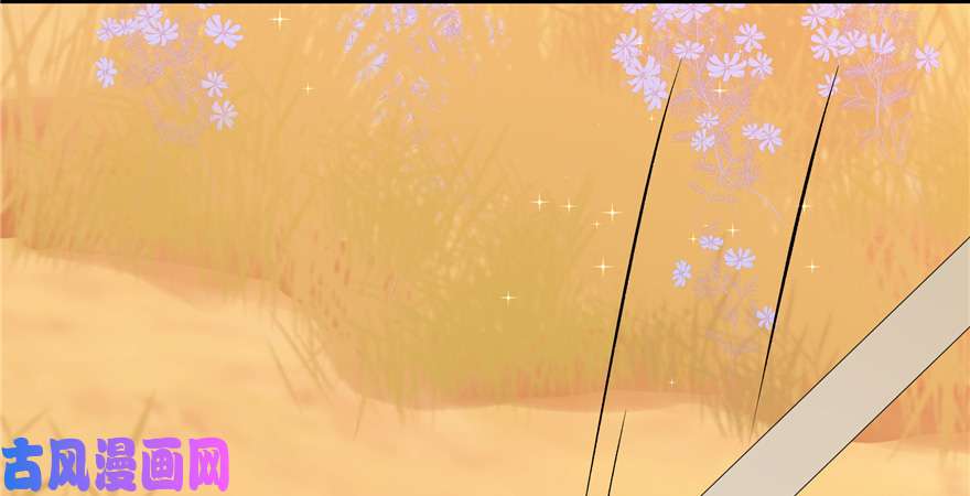 毒步天下：特工神医小兽妃27