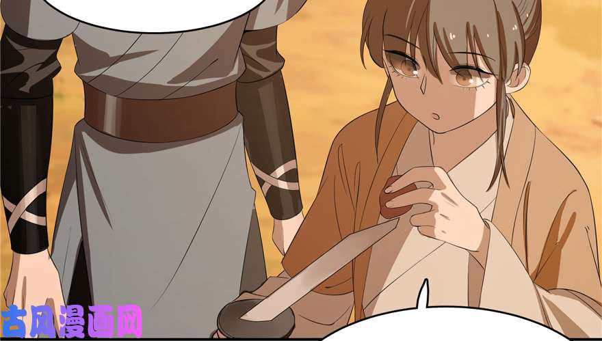 毒步天下：特工神医小兽妃27