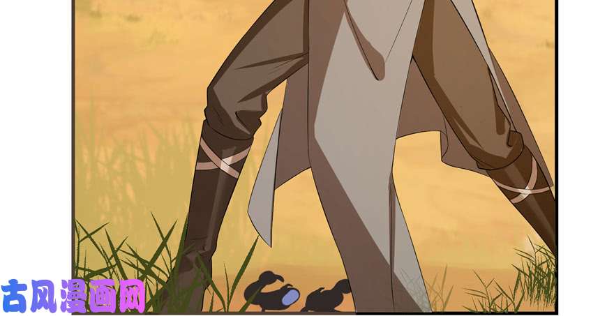 毒步天下：特工神医小兽妃27