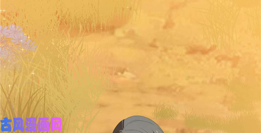 毒步天下：特工神医小兽妃27