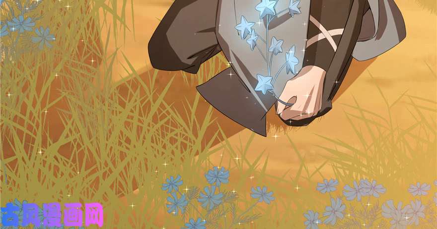 毒步天下：特工神医小兽妃27