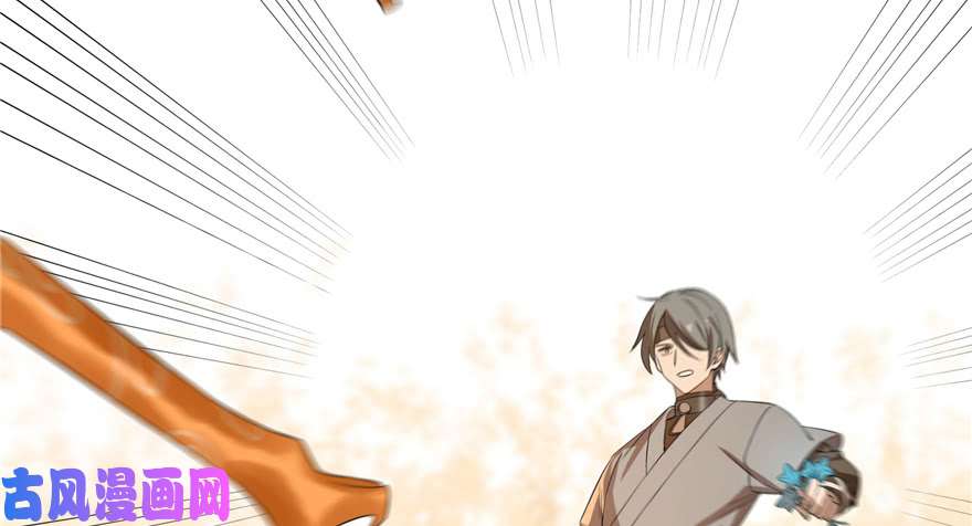 毒步天下：特工神医小兽妃27