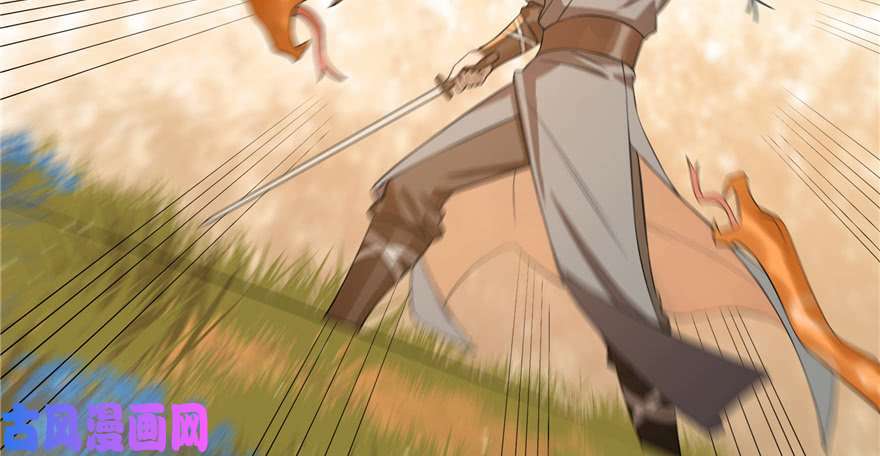 毒步天下：特工神医小兽妃27