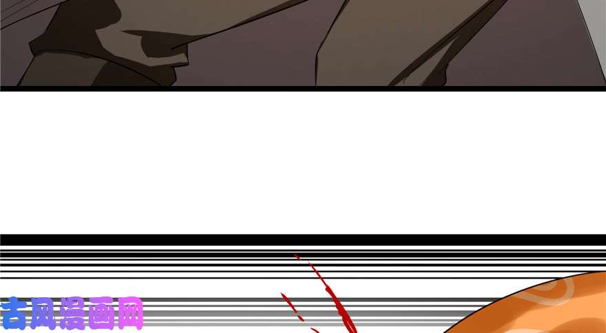 毒步天下：特工神医小兽妃27