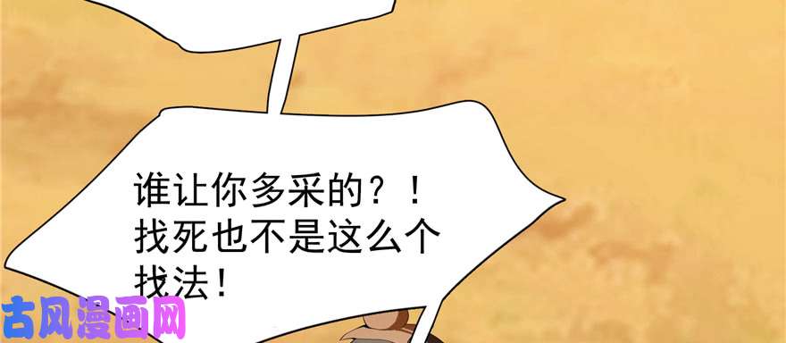 毒步天下：特工神医小兽妃27