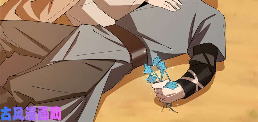 毒步天下：特工神医小兽妃27