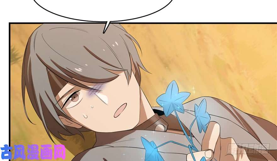 毒步天下：特工神医小兽妃27