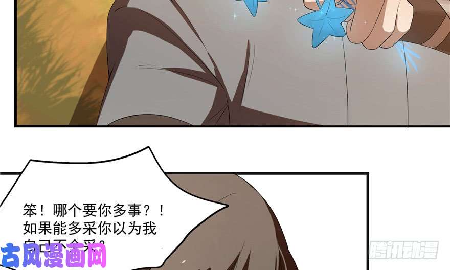 毒步天下：特工神医小兽妃27