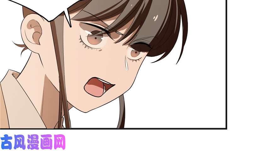 毒步天下：特工神医小兽妃27