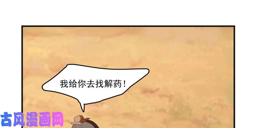 毒步天下：特工神医小兽妃27