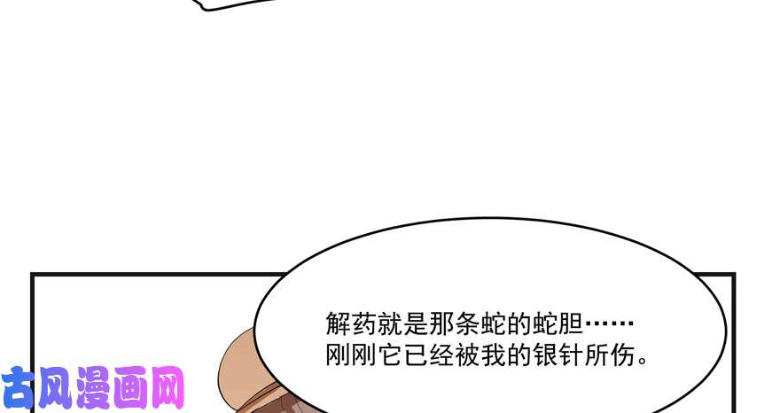 毒步天下：特工神医小兽妃27