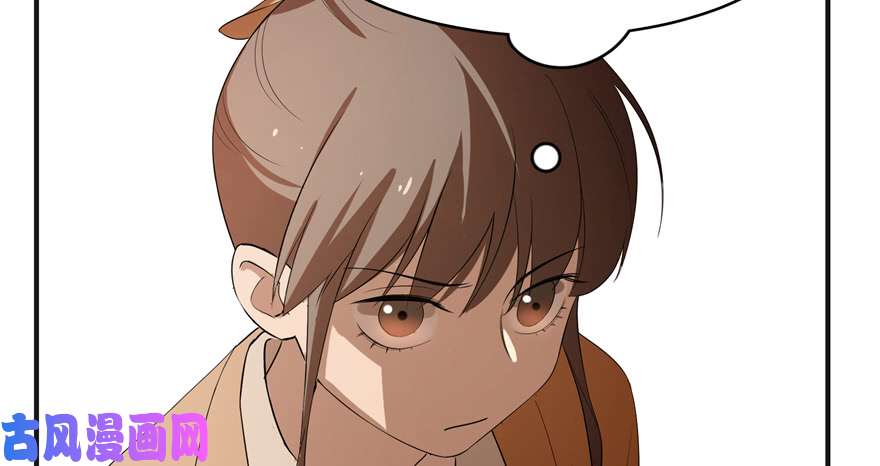 毒步天下：特工神医小兽妃27