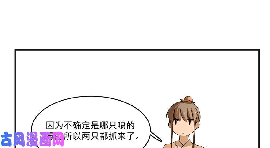 毒步天下：特工神医小兽妃27