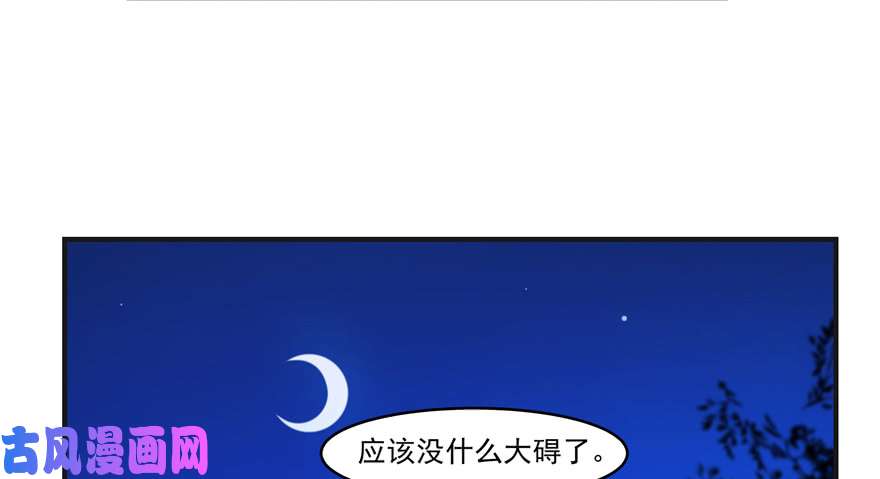 毒步天下：特工神医小兽妃27