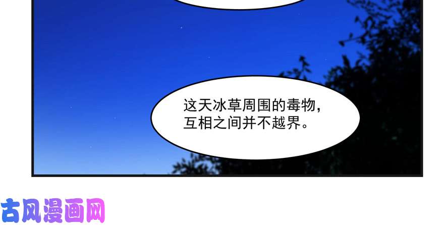 毒步天下：特工神医小兽妃27