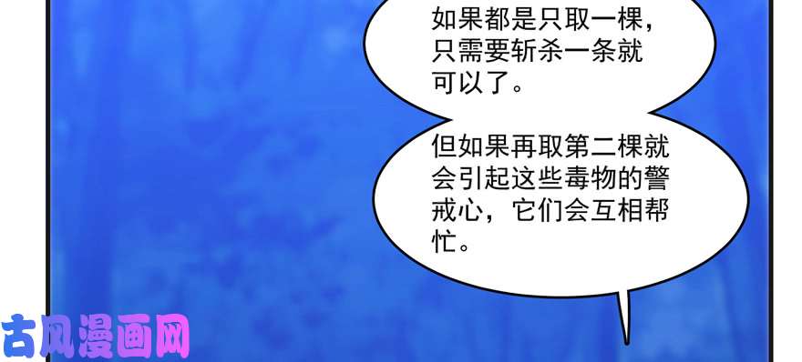 毒步天下：特工神医小兽妃27