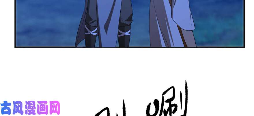 毒步天下：特工神医小兽妃27