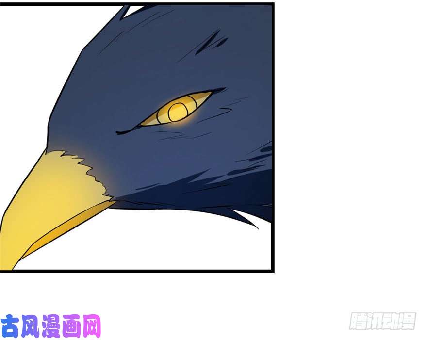 毒步天下：特工神医小兽妃28